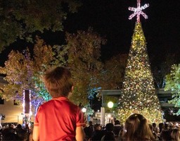 Redlands Annual Events photos