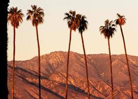 50 Things to Do in Redlands photos