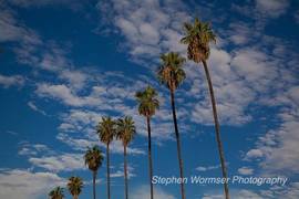 Stephen Wormser Photography and Custom Framing photos