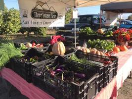 The Farmers Market at the Grove School photos