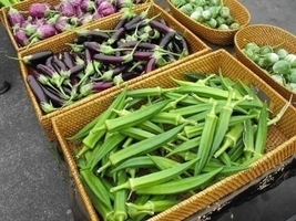 Downtown Certified Farmers Market photos