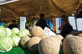 Downtown Certified Farmers Market photos