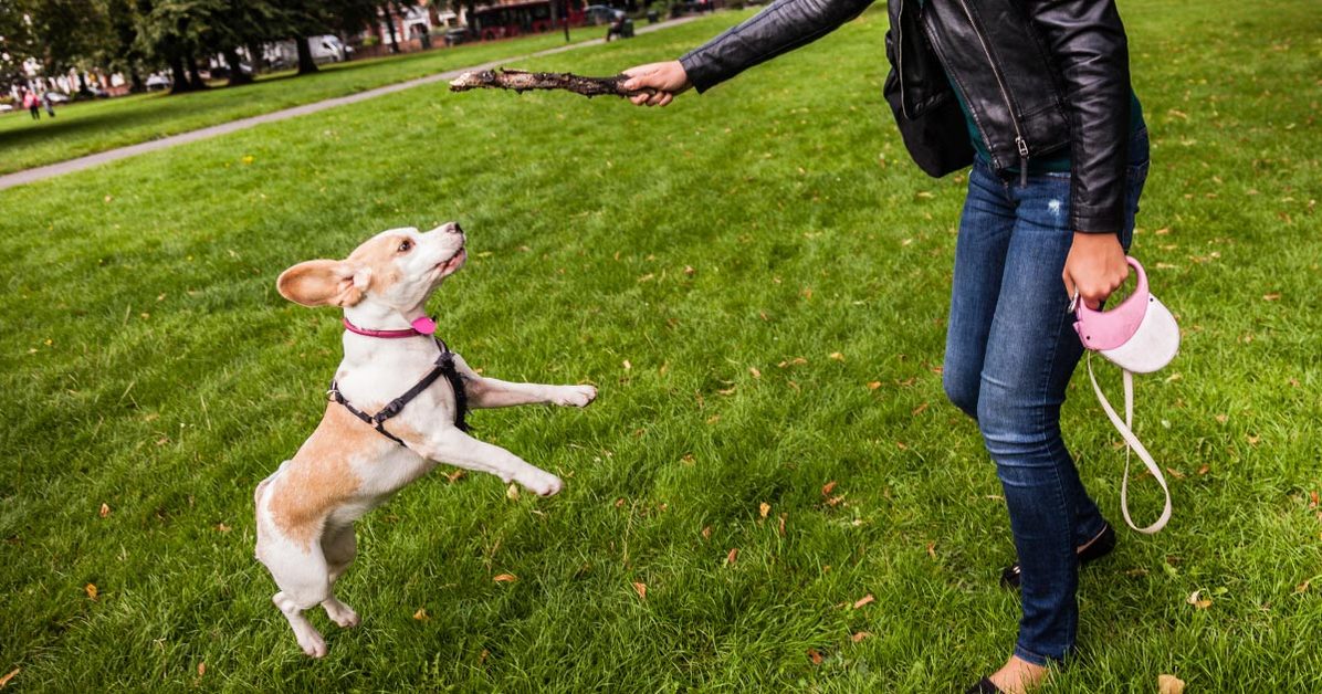 Fb_where-dogs-can-roam-in-redlands