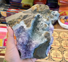 The Lovely Lotus, Inc. photos