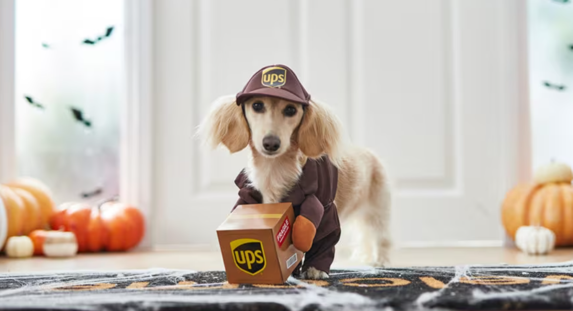 Fb_screenshot_2023-09-18_134956